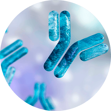 Indicação de Anticorpo Monoclonal